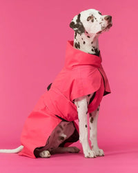 Hunderegenmantel - PAIKKA Visibility Raincoat - BARFTIER - www.barftier.de