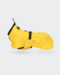 Hunderegenmantel - PAIKKA Visibility Raincoat - BARFTIER - www.barftier.de