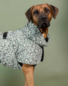 Hunderegenmantel - PAIKKA Visibility Raincoat - BARFTIER - www.barftier.de