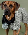 Hunderegenmantel - PAIKKA Visibility Raincoat - BARFTIER - www.barftier.de