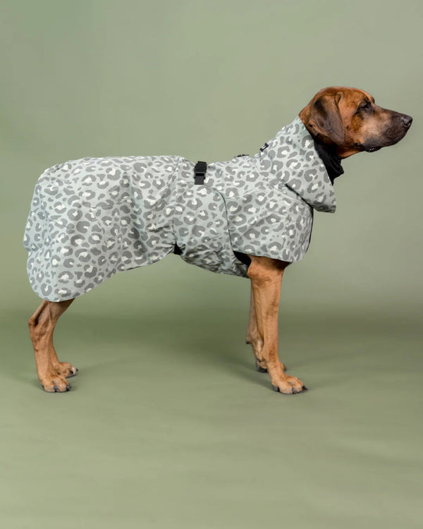 Hunderegenmantel - PAIKKA Visibility Raincoat - BARFTIER - www.barftier.de