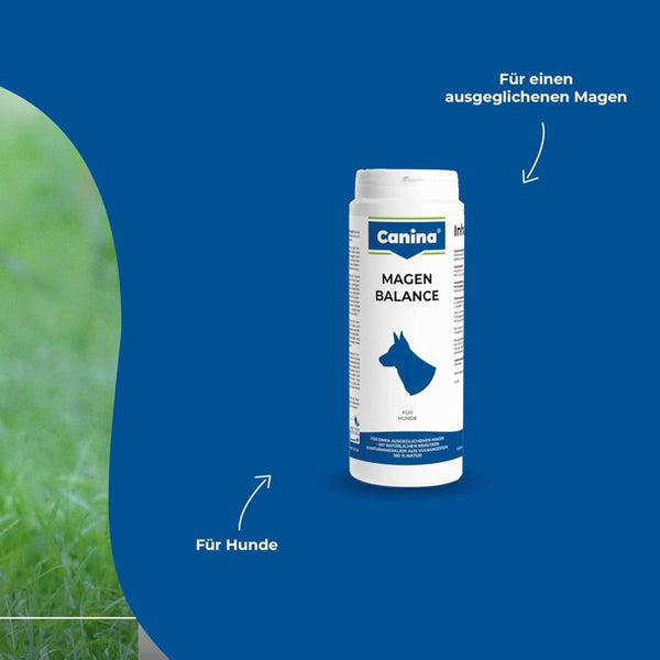 Magen Balance (Pulver) - BARFTIER - www.barftier.de