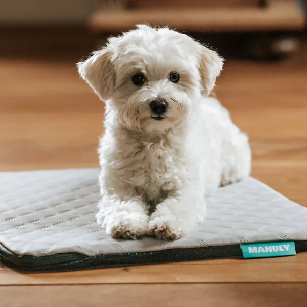 Manuly I Hundematte, aufblasbar & innovativ - Komplett - Set - BARFTIER - www.barftier.de