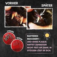 Qchefs - Mminis Katze - BARFTIER - www.barftier.de