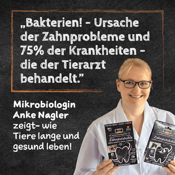 Qchefs - Puffed Cracker - BARFTIER - www.barftier.de
