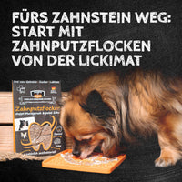 Qchefs - Zahnputzflocken Hund - BARFTIER - www.barftier.de
