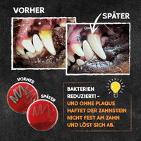 Qchefs - Zahnputzflocken Hund - BARFTIER - www.barftier.de