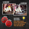 Qchefs - Zahnputzflocken Hund - BARFTIER - www.barftier.de