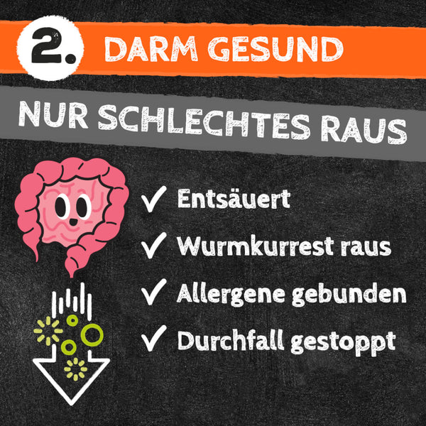 Qchefs - Zahnputzkohle Hund - BARFTIER - www.barftier.de