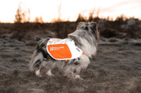 Reflective Vest (reflektierende Hundeweste) - BARFTIER - www.barftier.de