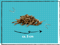 SnackOMIO - Frische Sprotten - BARFTIER - www.barftier.de