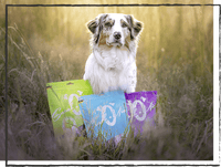 SnackOMIO - Knusprige Kaninchenohren (natur) - BARFTIER - www.barftier.de