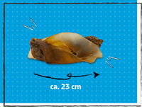 SnackOMIO - Knusprige Rinderohren mit Muschel - BARFTIER - www.barftier.de