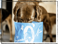 SnackOMIO - Knusprige Rinderohren mit Muschel - BARFTIER - www.barftier.de