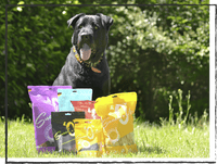 SnackOMIO - Krosse Hühnerfüsse - BARFTIER - www.barftier.de