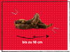 SnackOMIO - Zarte Entenhälse - BARFTIER - www.barftier.de